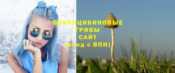 спиды Алексеевка